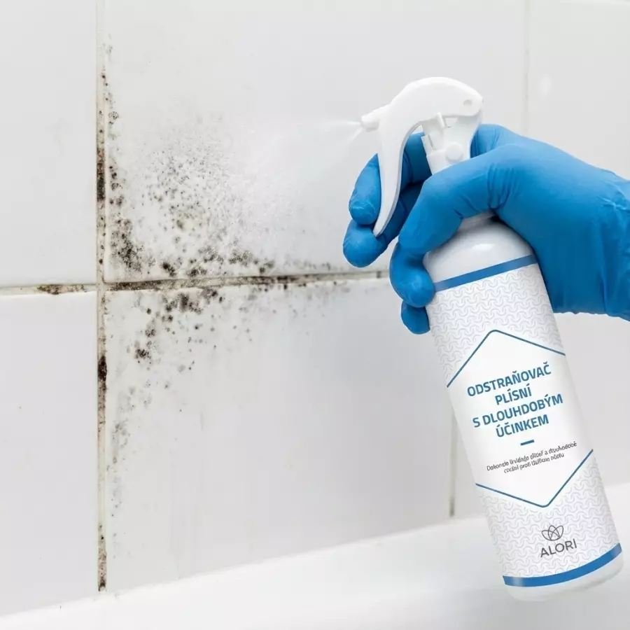 Odstraňovač plísní s dlouhodobým účinkem