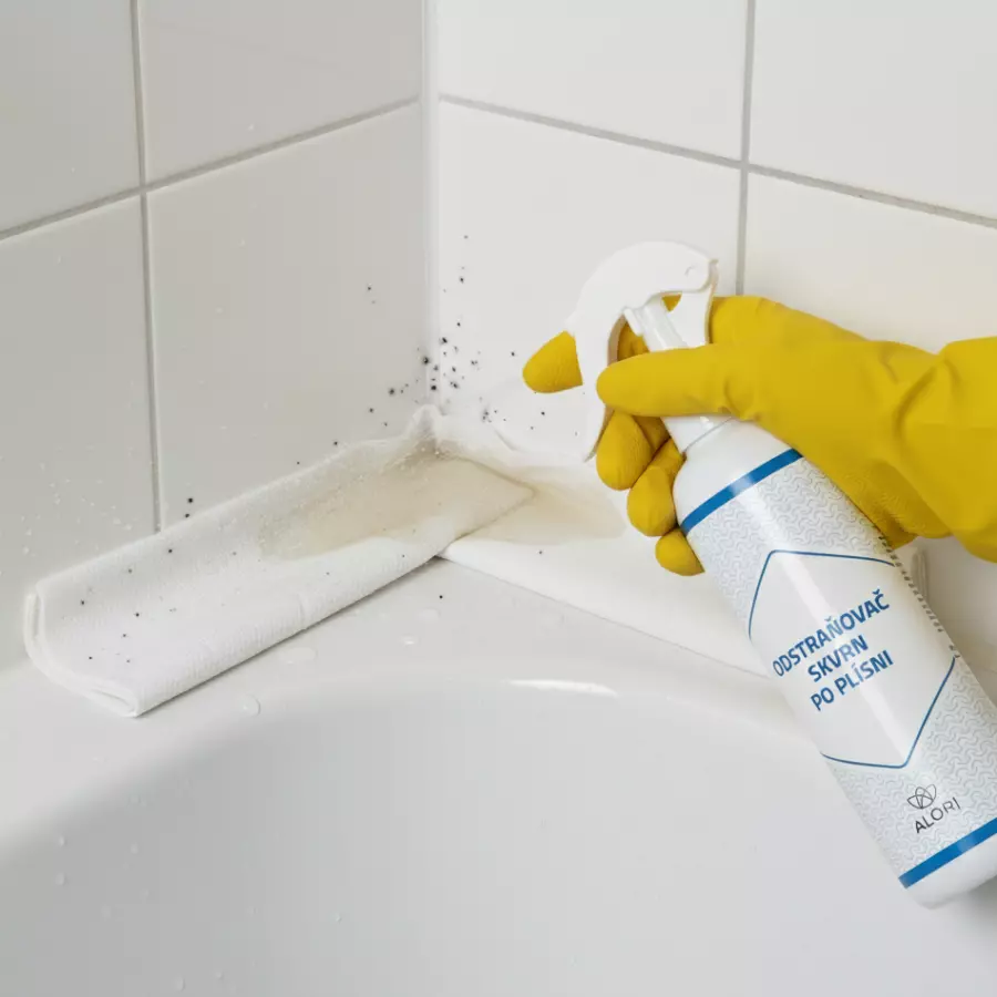 Odstraňovač skvrn po plísni