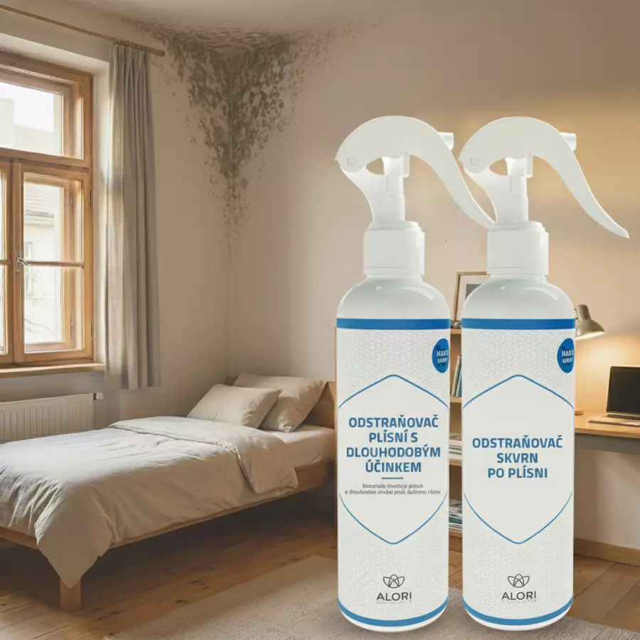 Odstraňovač skvrn po plísni