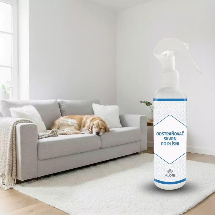 Odstraňovač skvrn po plísni