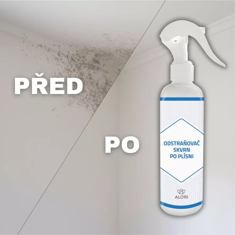 Odstraňovač skvrn po plísni 2+1 zdarma