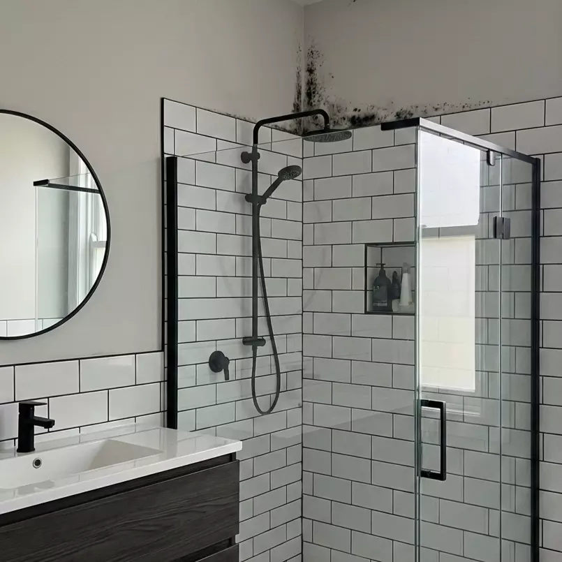 Odstraňovač plísní s dlouhodobým účinkem 3 ks za cenu 2 ks + navíc utěrka 40x40 cm zdarma